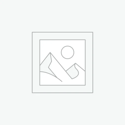 Je créerai un blog professionnel